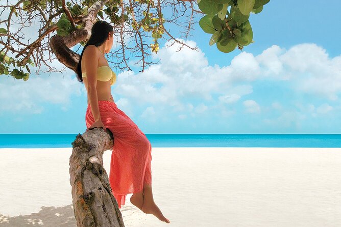 Negril Day Trip to Seven Mile Beach & Rick's Cafe w/Admission from Montego Bay - Is $95 a fair price?