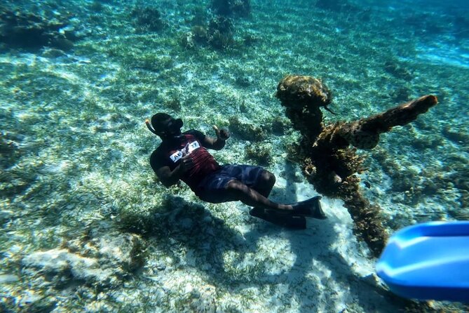 Negril Glass Bottom Boat Tour Snorkeling and Booby Cay - Quick points to know before booking
