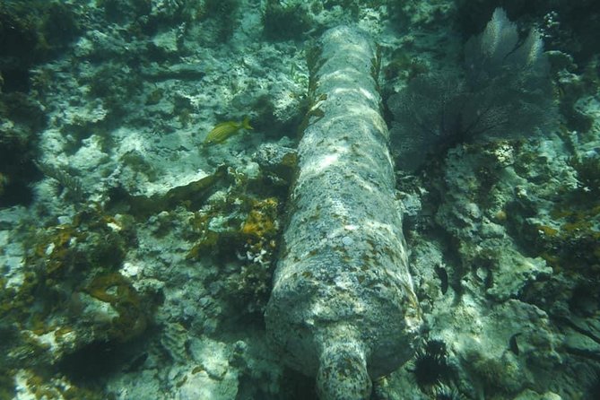 Negril Lobster Lunch on Booby Cay & Snorkeling To a Sunken Cannon - The lobster lunch and seasonal seafood change