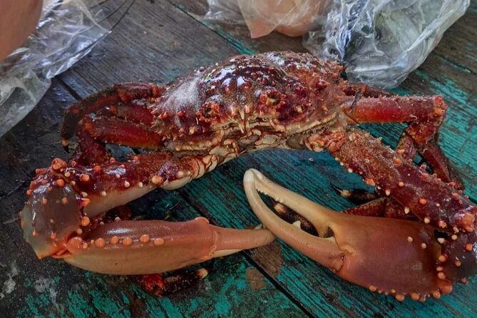Negril Lobster Lunch on Booby Cay & Snorkeling To a Sunken Cannon - Music, rum punch, and the ride home