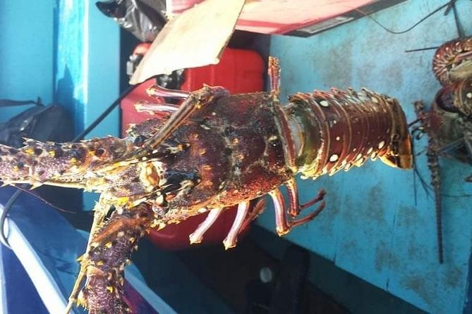Negril Lobster Lunch on Booby Cay & Snorkeling To a Sunken Cannon - The crew and the size of your group