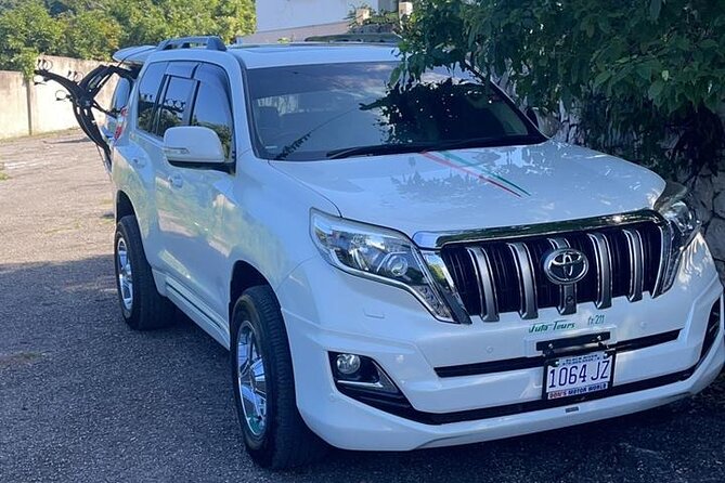 Negril Private Airport Transfer - Booking details worth checking twice