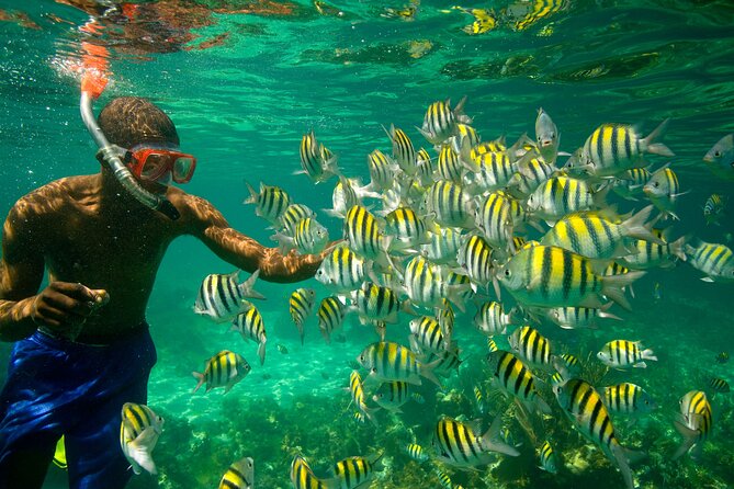 Negril Seven Miles Beach, Snorkeling, Boat Ride, Ricks Cafe Combo - Margaritaville and the second chance for beach time