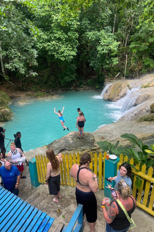 Ocho Rios : Blue Hole and Sightseeing Tour - Who Should Book This Three-Hour Outing?