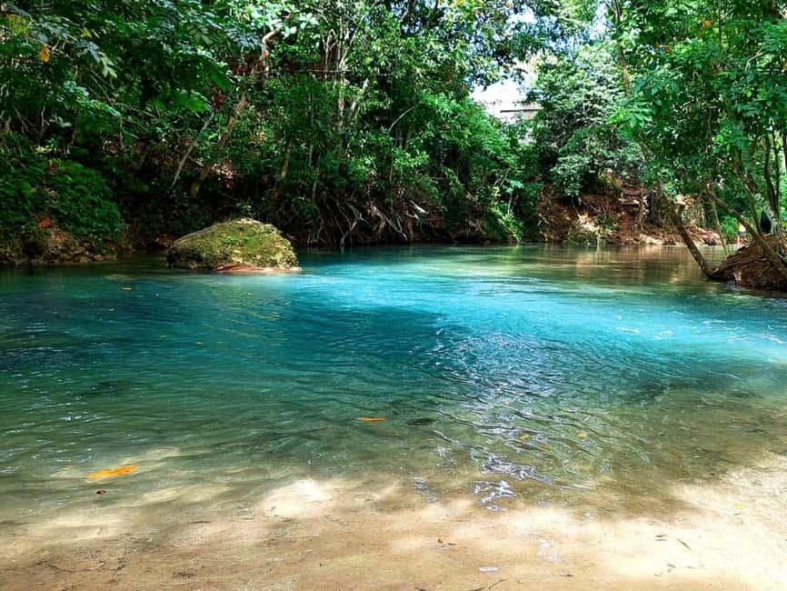 Ocho Rios: Blue Hole, Dunn’s River & Reggae Hill Guided Tour - Who should book this Jamaica excursion?