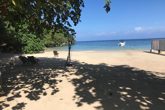 Ocho Rios City Bus Tour (Beach, Sightseeing & Shopping) - Marcus Garvey’s hometown and an important Jamaican symbol
