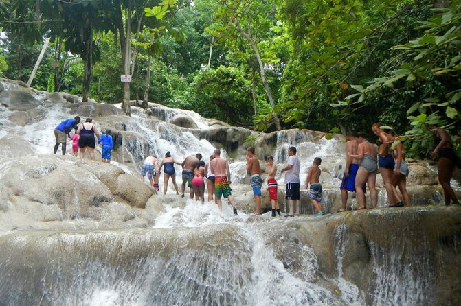 Ocho Rios Day Tour 3 in 1 Combo - Blue Hole, forest pools and Tarzan swings