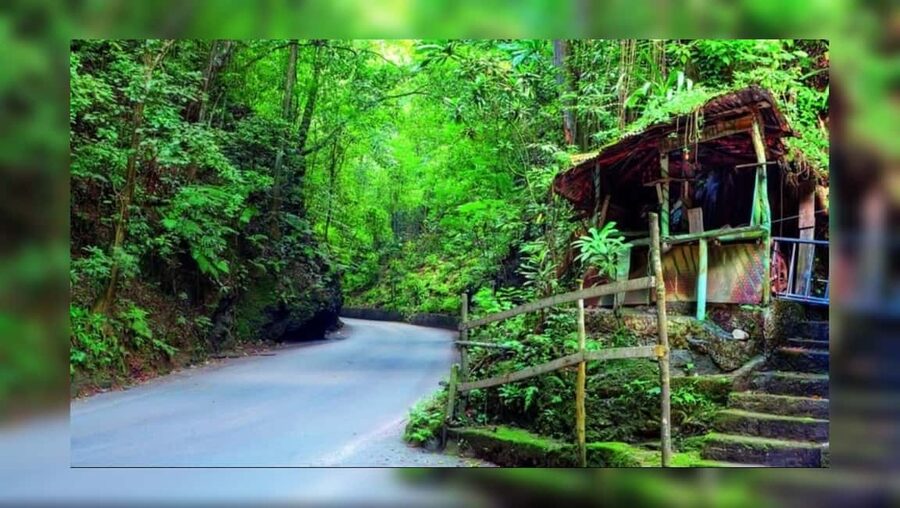 Ocho Rios: Guided Sightseeing Tour - Key points to know before booking
