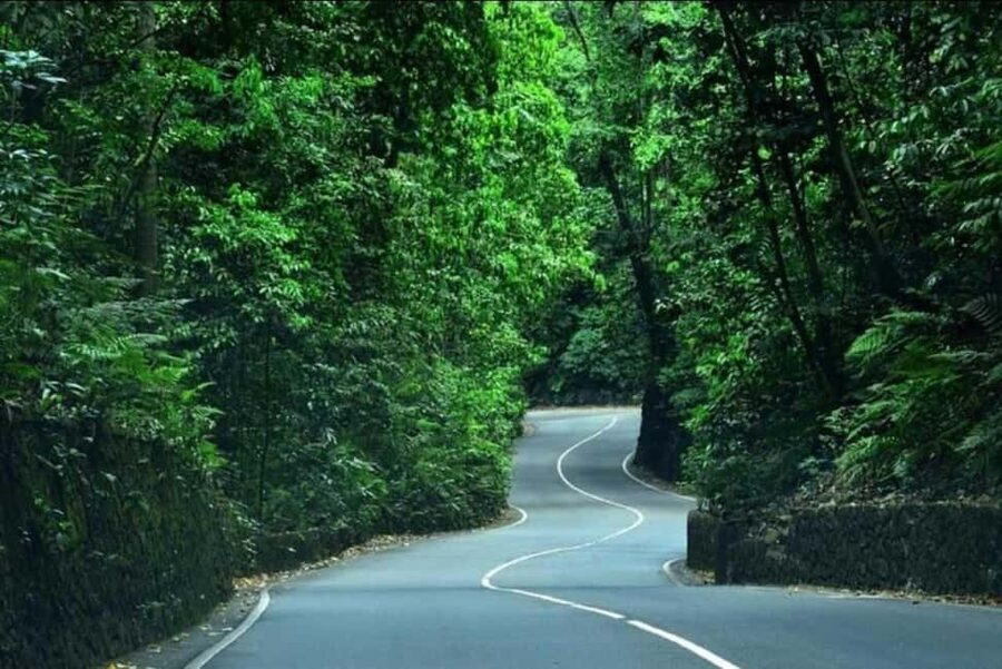Ocho Rios: Guided Sightseeing Tour - Craft shopping, carvings, spices, and Jamaican souvenirs