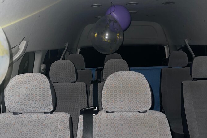 Ocho Rios Hotels Airport Private Transfer (MBJ) - Who will appreciate this transfer most?