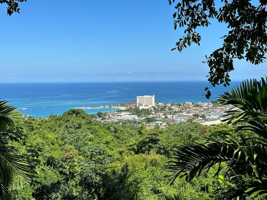 Ocho Rios: Konoko Falls, Fern Gully, and Shopping Tour - What this Ocho Rios half-day tour is really like