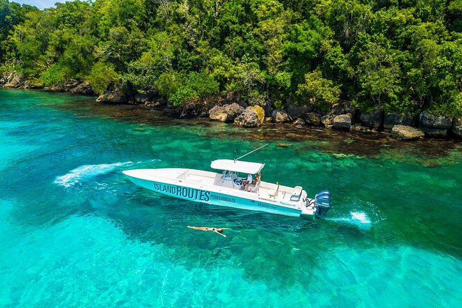 Ocho Rios Powerboat & Dunn’s River Falls Adventure - Climbing the 600-foot Dunn’s River Falls