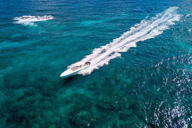 Ocho Rios Powerboat & Dunn’s River Falls Adventure - What the small group changes