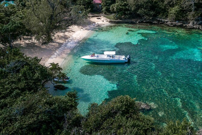 Ocho Rios Powerboat & Dunn’s River Falls Adventure - Weather and cancellation rules worth knowing