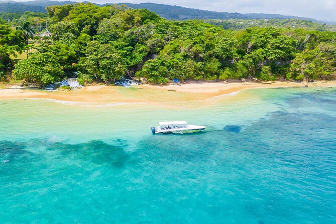 Ocho Rios Powerboat & Dunn’s River Falls Adventure - Laughing Waters and the chance to get in the sea