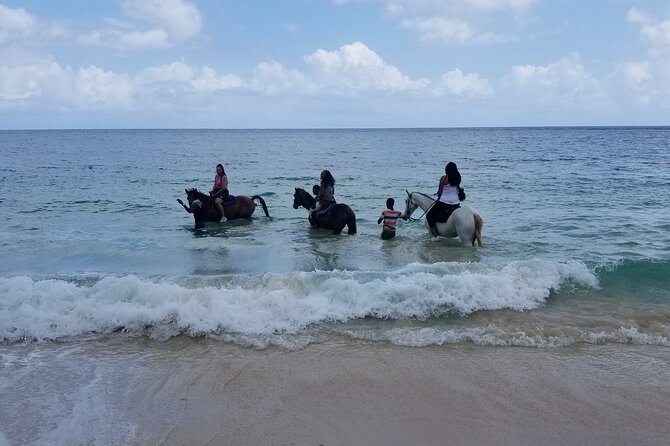 Ocho Rios Private Horse Riding, River Tubing and Rafting[Entry fee not included] - Horseback riding and the activity mismatch