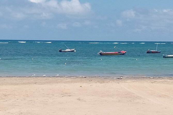 Ocho Rios Scenic Views, Culture and Adventure - What the Private Format Adds
