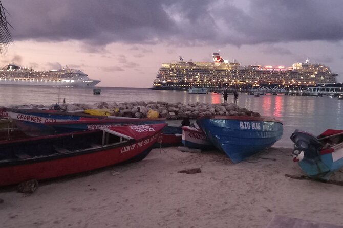 Ocho Rios Scenic Views, Culture and Adventure - Who Will Enjoy This Ocho Rios Tour?