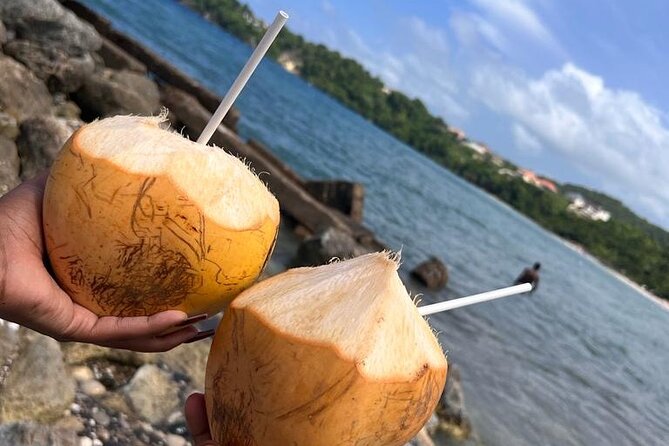 Ocho Rios Sightseeing Tours and Shopping - Jamaican music and a guide-led view of the island