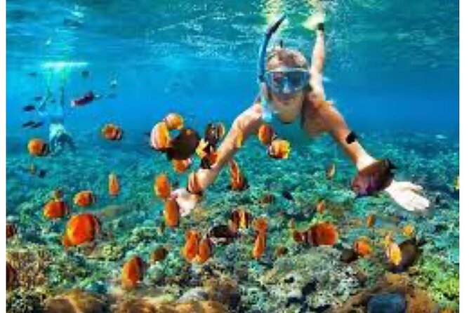 Party Catamaran and Snorkeling Tour in Montego Bay - What $105.85 Buys You