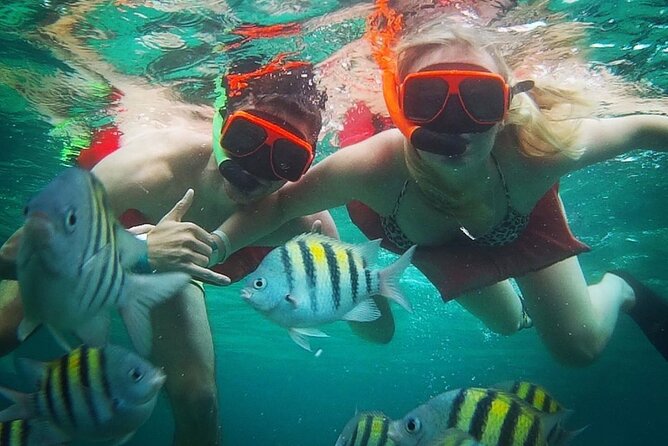 Party Catamaran Cruise with Open Bar and Snorkeling Montego Bay - Boarding at Rapsody Tours in Montego Bay