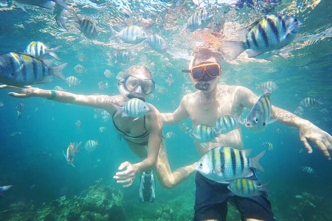 Party Catamaran Cruise with Open Bar and Snorkeling Montego Bay - The open bar and the real value of $180