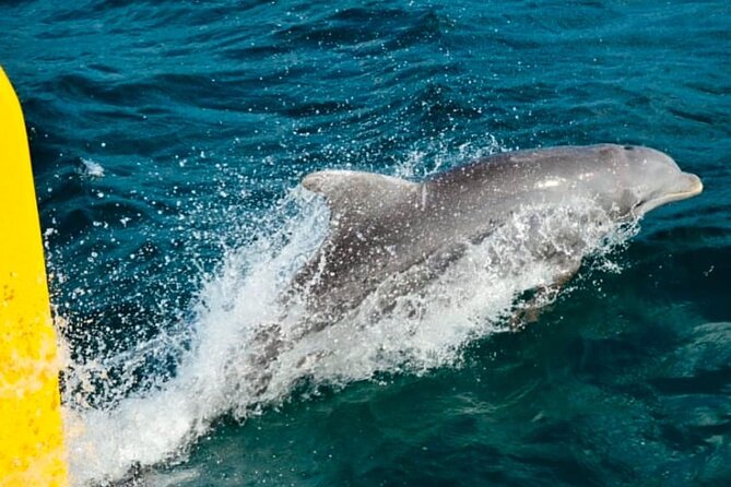 Party Catamaran: OpenBar, Music, Negril Beach, Caves, Snorkeling - A catamaran built for music, dancing, and drinks