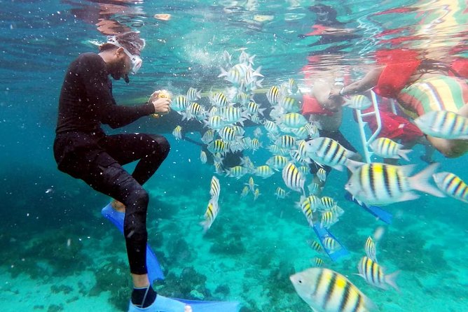 Party Catamaran: OpenBar, Music, Negril Beach, Caves, Snorkeling - The ride home and the value of $90