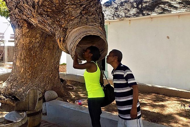 Port Royal Heritage & Sightseeing Tour from Kingston - Port Royal, from pirate capital to fishing town