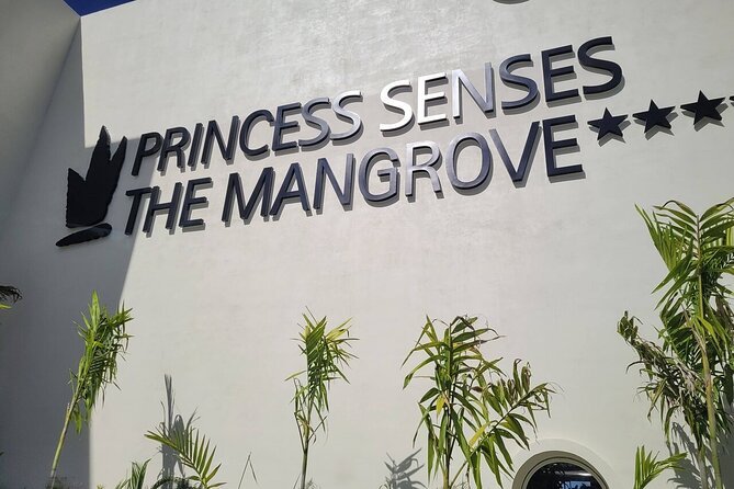 Princess Senses The Mangrove Airport Transfers - Price, timing, and cancellation details