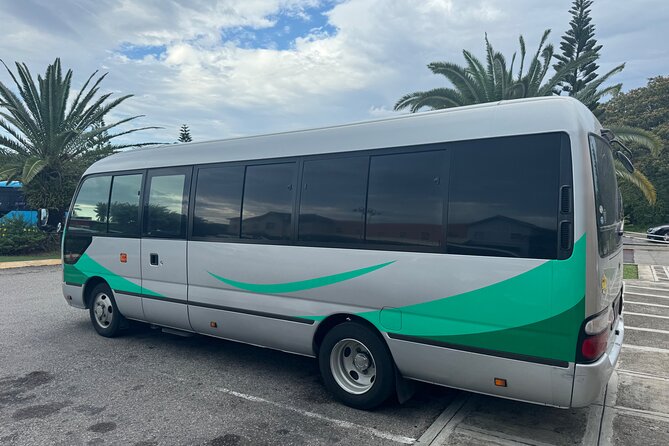 Private Airport Transfer from MBJ to Ocean Eden Bay - Comfort, space, and vehicle setup