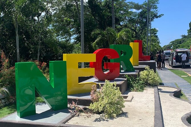 Private Airport Transfer from Montego Bay Airport to your Hotel - What the limited review record tells you