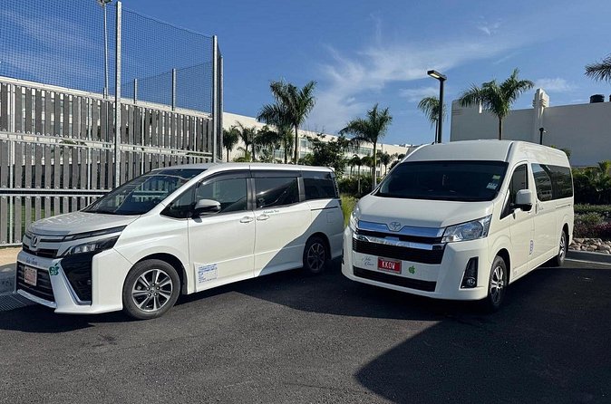 Private Airport Transfer Negril to Montego Bay Airport (One-Way) - Value for couples, families, and small groups