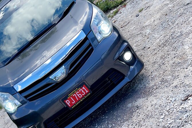 Private Airport transfer to/from all hotels in Negril round trip - The Welcome Drinks and What Is Not Included