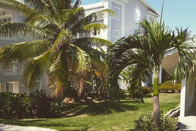 Private Airport Transfer to Lady Hamilton and Grand Palladium - Why the return trip matters