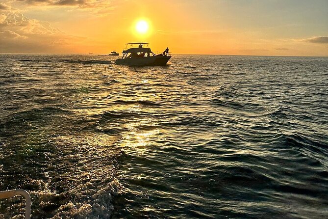 Private Airport Transfer to Royalton, Ocean Coral Spring & Excellence Oyster Bay - The driver experience and service tone