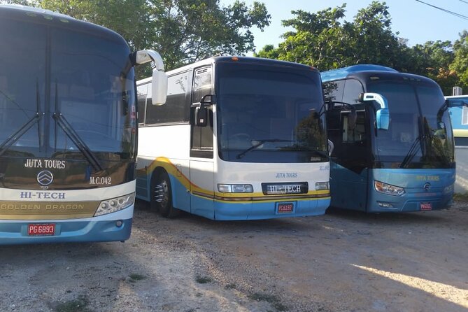 Private Airport Transfers To Negril Hotels and Villas - Leaving Sangster International Airport for Negril