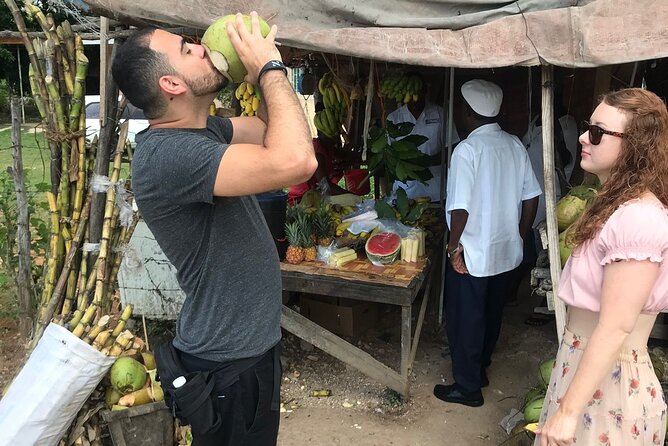 Private and Customize Highlight Tour to Montego Bay from Falmouth - Private Transport Makes the Difference