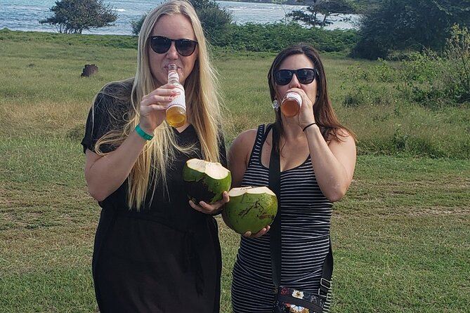 Private and Customized Montego Bay City Tour - Practical details that shape the day