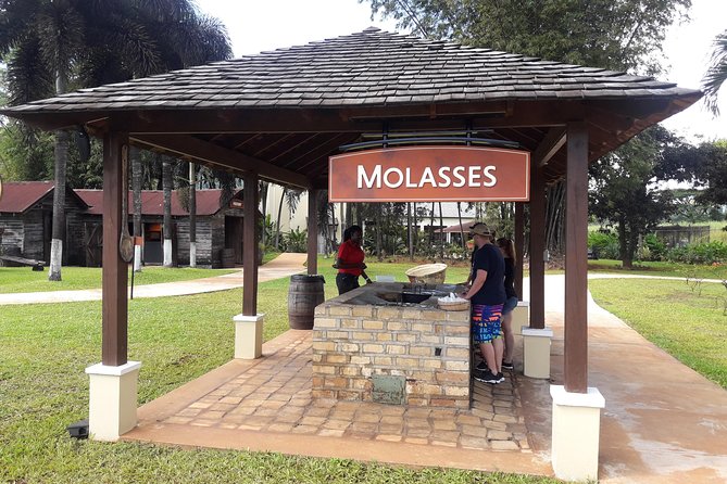 Private Appleton Estate Rum and Pelican Bar Tour from Montego Bay - Why this private Montego Bay tour works