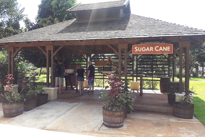 Private Appleton Estate Rum and Pelican Bar Tour from Montego Bay - From the estate to Floyd’s Pelican Bar