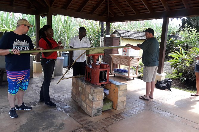 Private Appleton Estate Rum and Pelican Bar Tour from Montego Bay - Inside the Joy Spence Appleton Estate Rum Experience