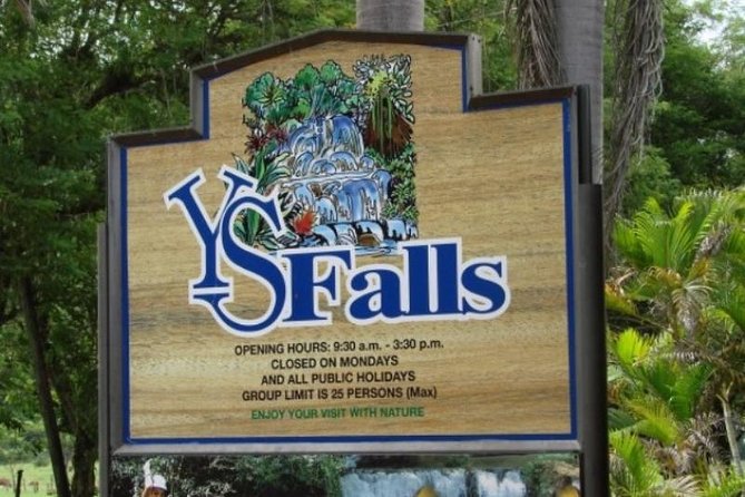 Private Appleton Estate Rum & YS Falls Tour from Montego Bay - What the private format changes