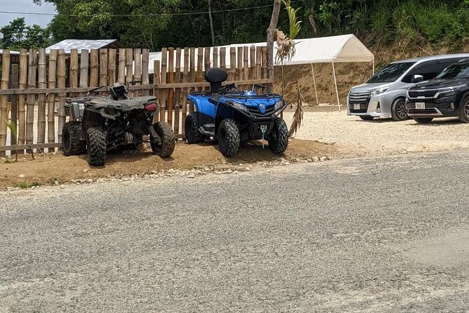 Private ATV Ride 7 Mile Beach & Rick’s Café Negril Tour - Jerk chicken in a rustic open-air setting