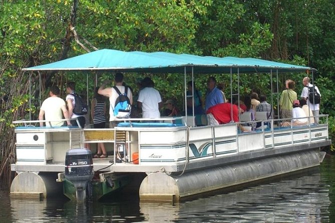 Private Black River Safari Tour from Montego Bay - Key points about the Black River safari