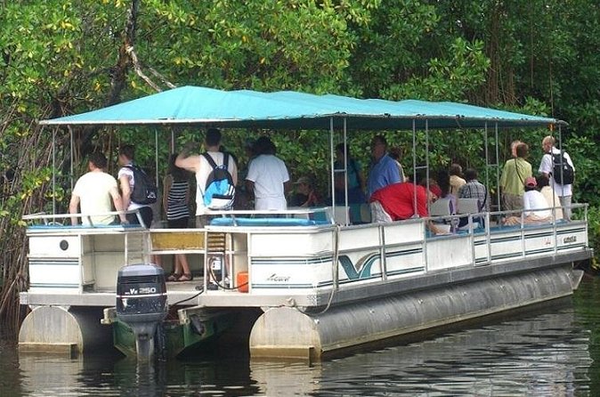 Private Black River Safari Tour from Montego Bay - Who will enjoy this five-hour outing