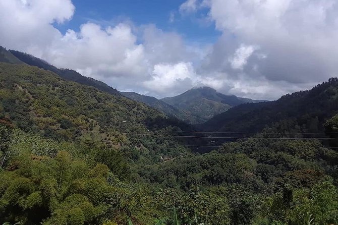 Private Blue Mountain tour from Ocho Rios - Leaving Ocho Rios for the Blue Mountains