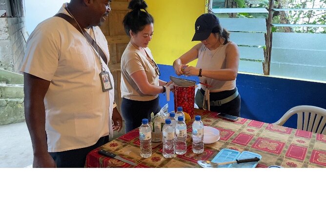 Private Blue Mountain tour from Ocho Rios - Practical timing and preparation
