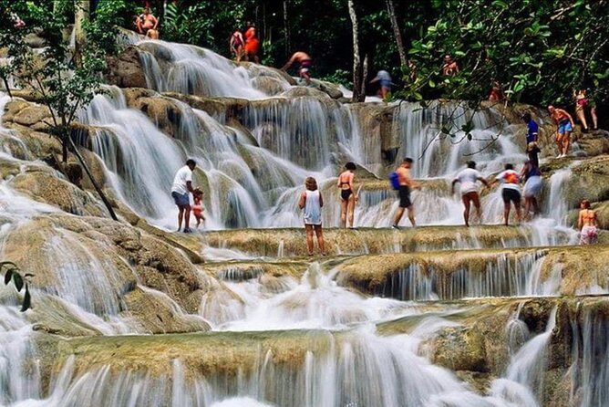 Private Bob Marley 9 mile & DunnsRiverFalls Tour from Montego Bay - What the $215.33 price really covers