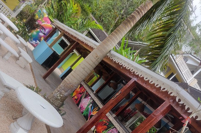 Private Bob Marley's Resting place, Dunn's River and shopping - Timing, Pace, and the Main Drawback